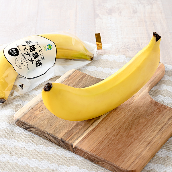 高地栽培バナナ(1本)