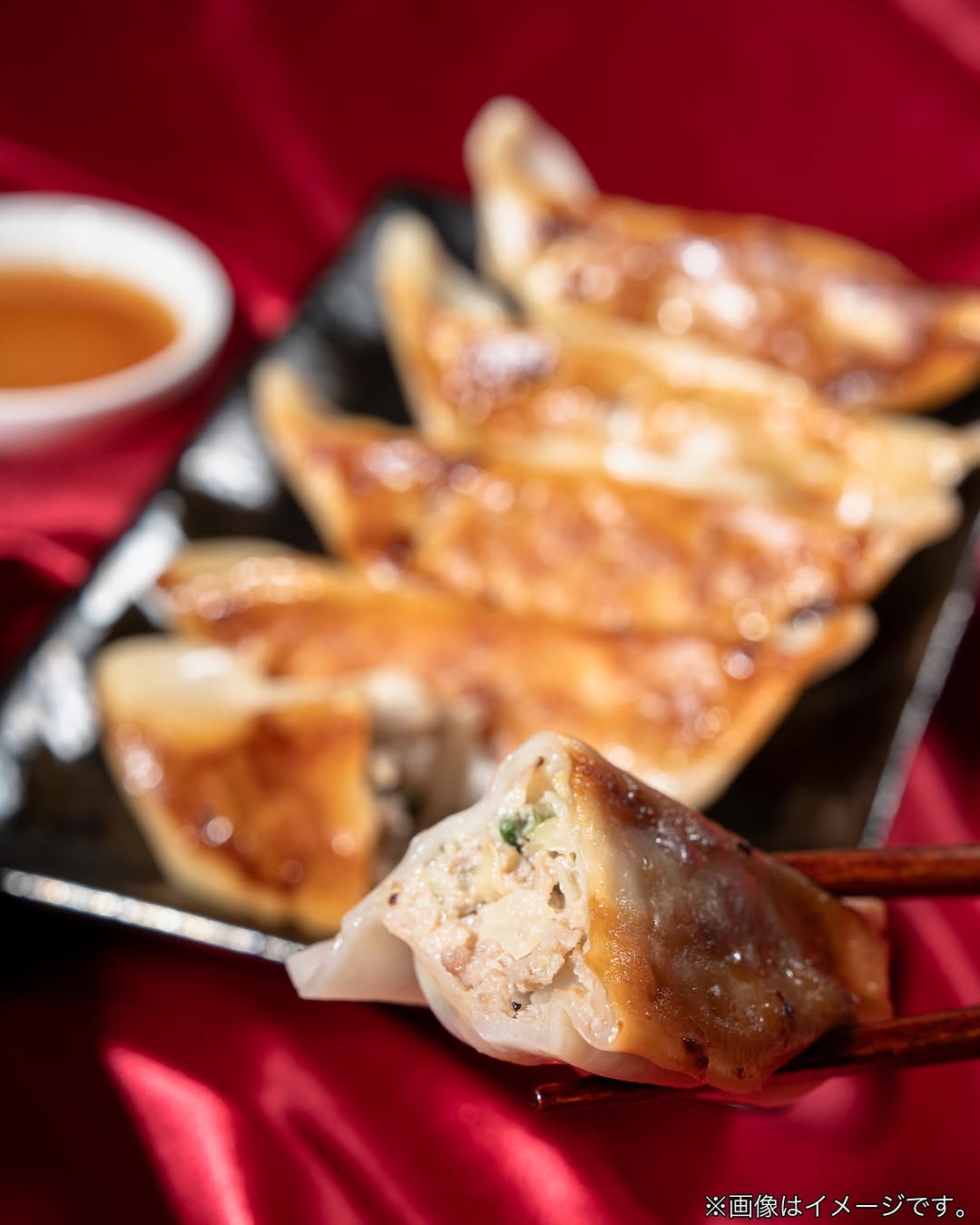 ファミマルプレミアム 大餃子