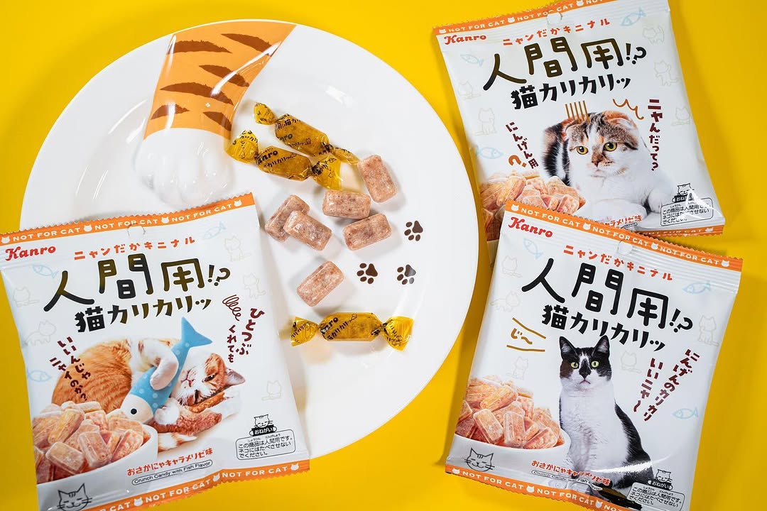 人間用猫カリカリッファミリーマートファミマファミマスイーツ部スイーツ飴猫の日猫猫好きさんと繋がりたいねこすたぐらむ猫のいる暮らし